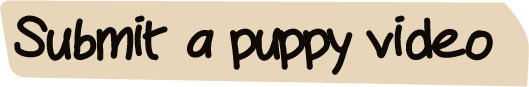 Submit a puppy video